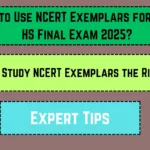How to Use NCERT Exemplars for SEBA HS Final Exam 2025__20250325_175945_0000
